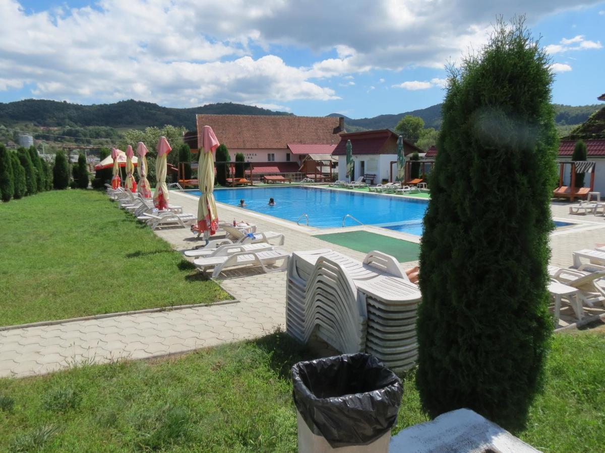 Pensiunea Cetina Brad  Exterior foto