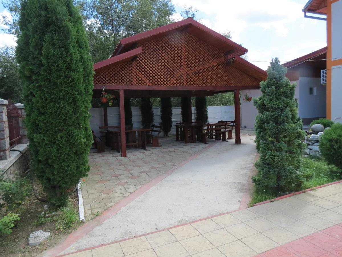 Pensiunea Cetina Brad  Exterior foto