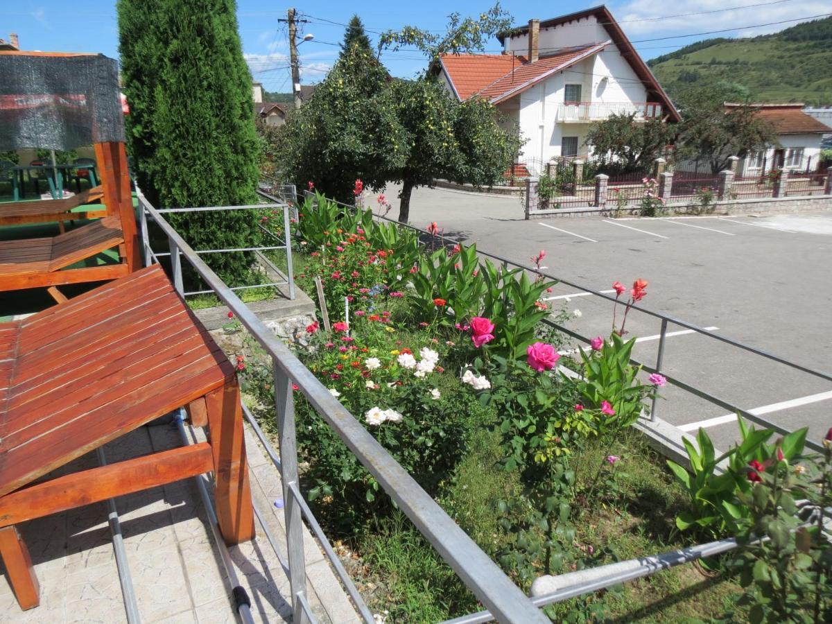 Pensiunea Cetina Brad  Exterior foto