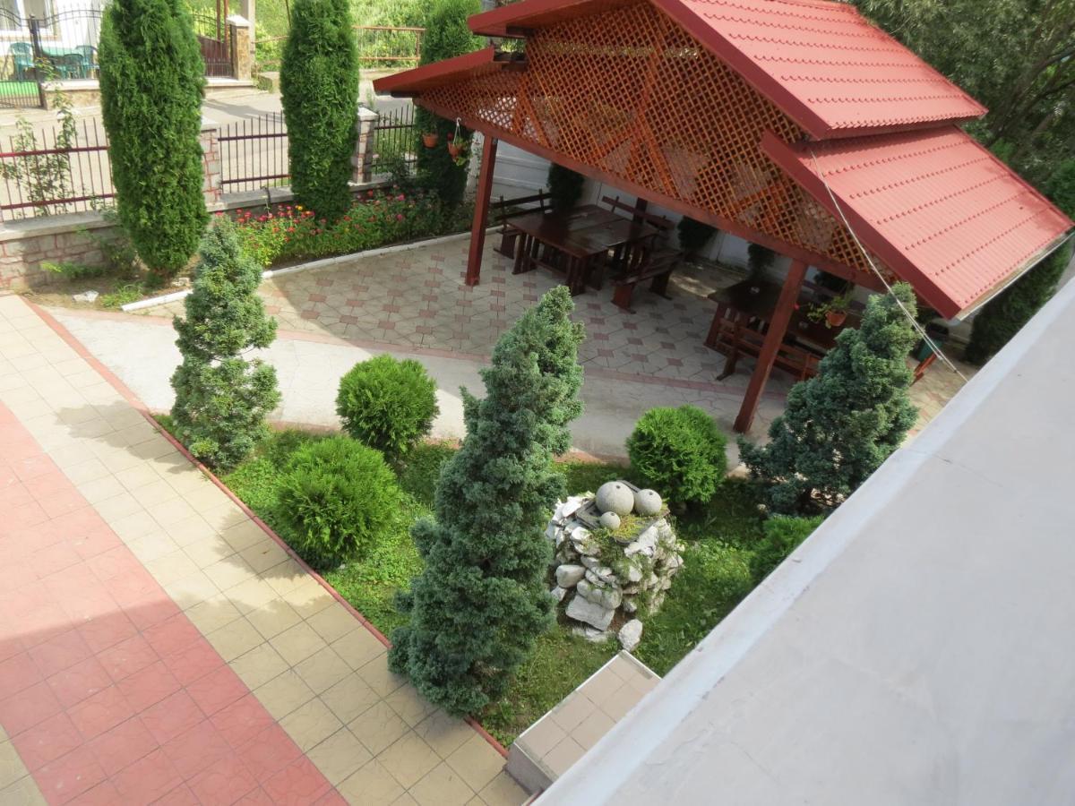 Pensiunea Cetina Brad  Exterior foto