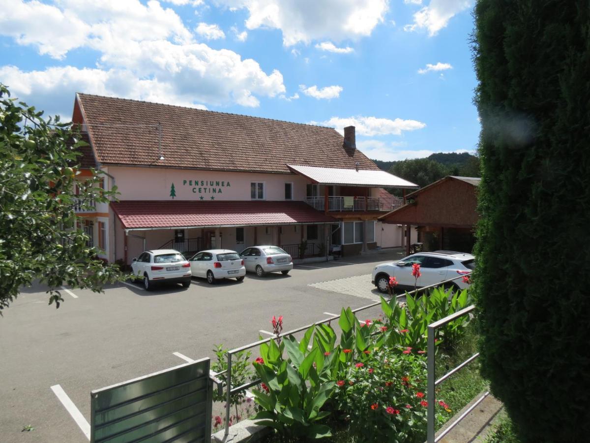 Pensiunea Cetina Brad  Exterior foto