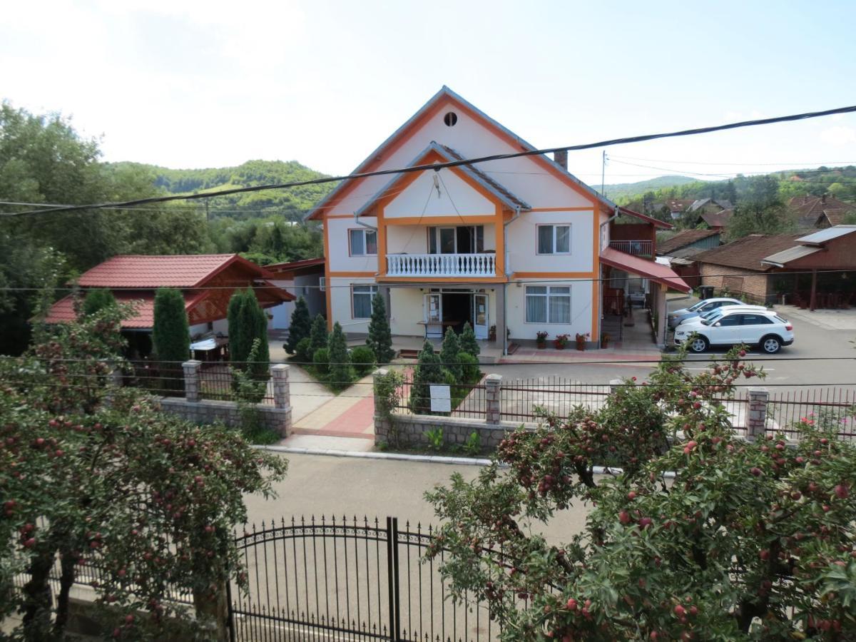 Pensiunea Cetina Brad  Exterior foto