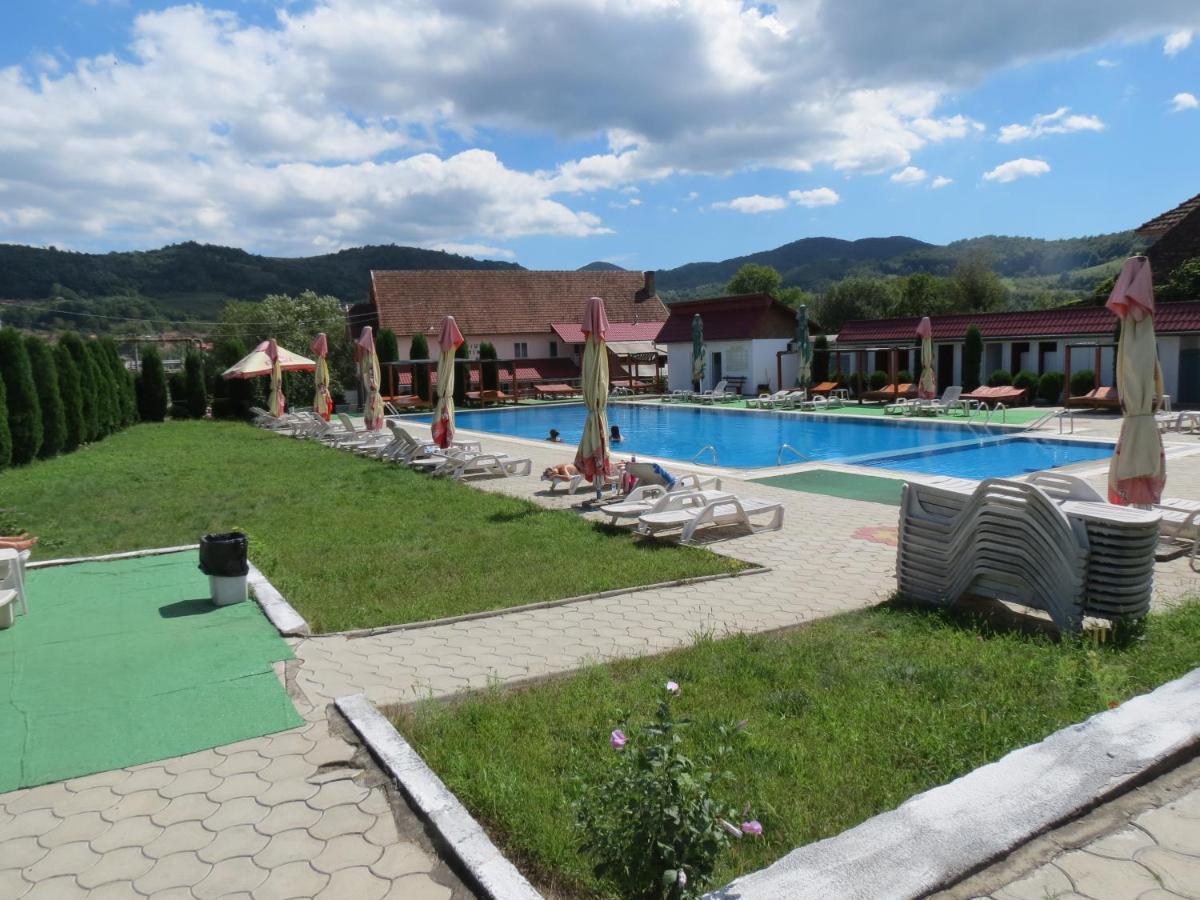 Pensiunea Cetina Brad  Exterior foto