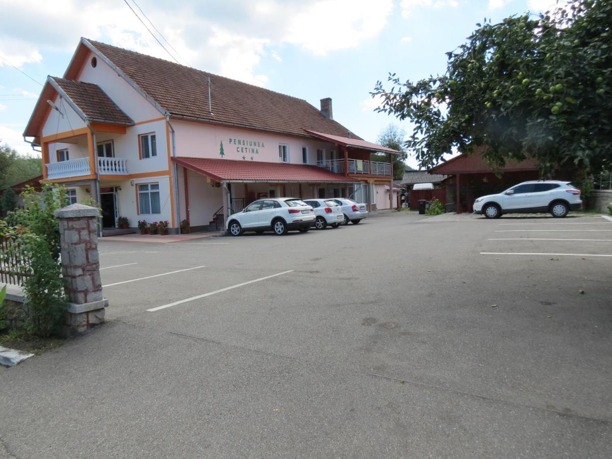 Pensiunea Cetina Brad  Exterior foto